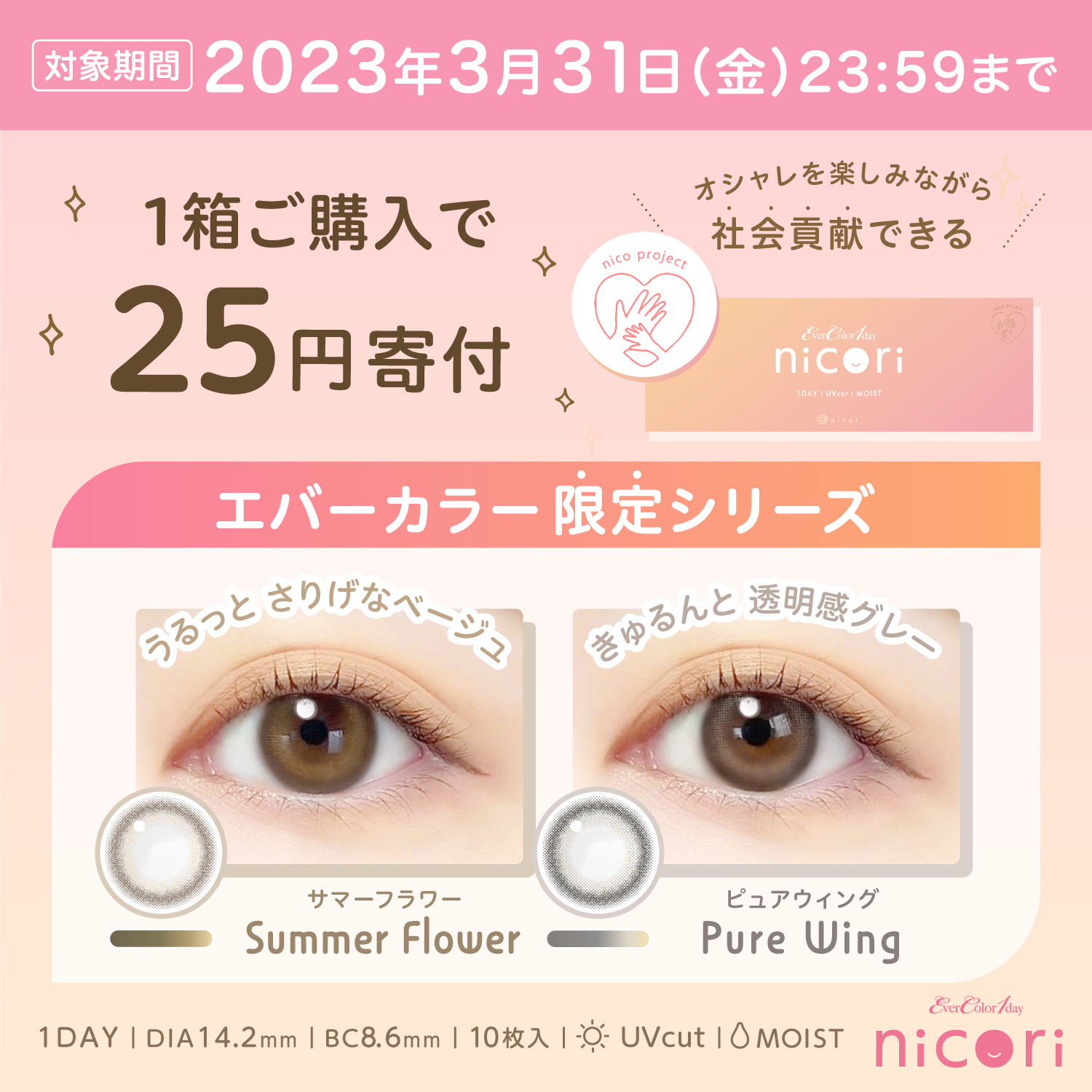 エバーカラーワンデーニコリ×2箱